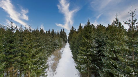 20230312-dji_00101-1.jpg