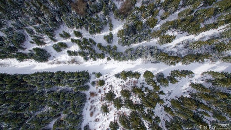 20230312-dji_0007-1.jpg