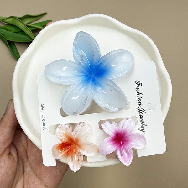 Pinces à Cheveux 🌸