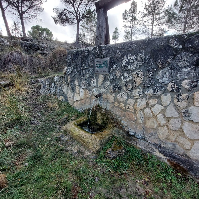 fuentedehesilla2-2.jpg