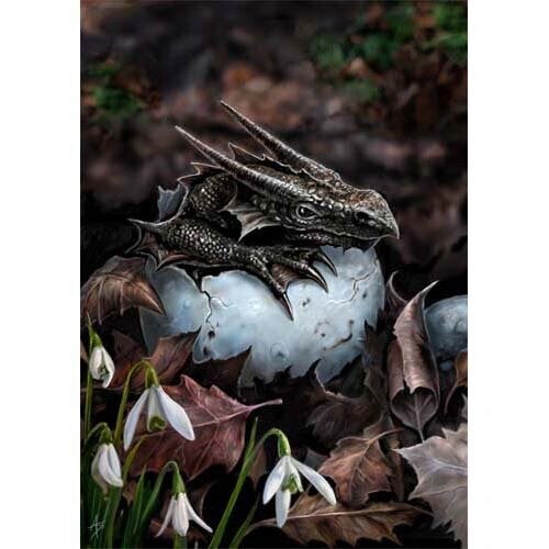 *NEW* Welcome Little Stonedragon