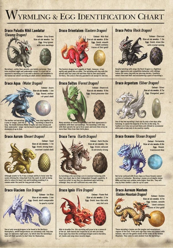 *Weer Op Vooraad* Wenskaart Little Dragons