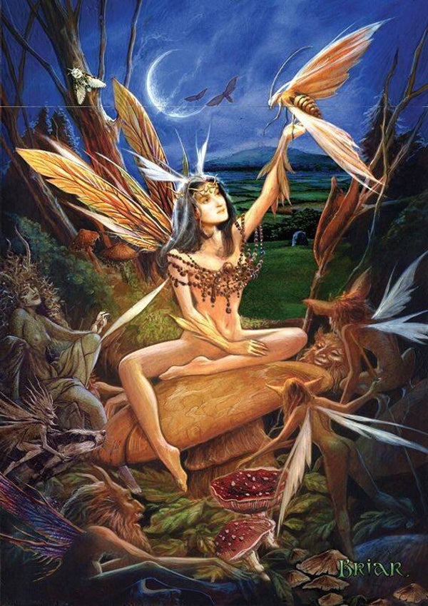 *NEW* Night Transformation