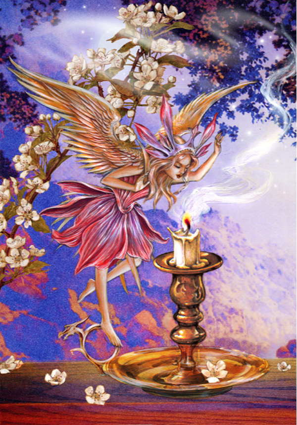 *NEW* Pink Night Fairy