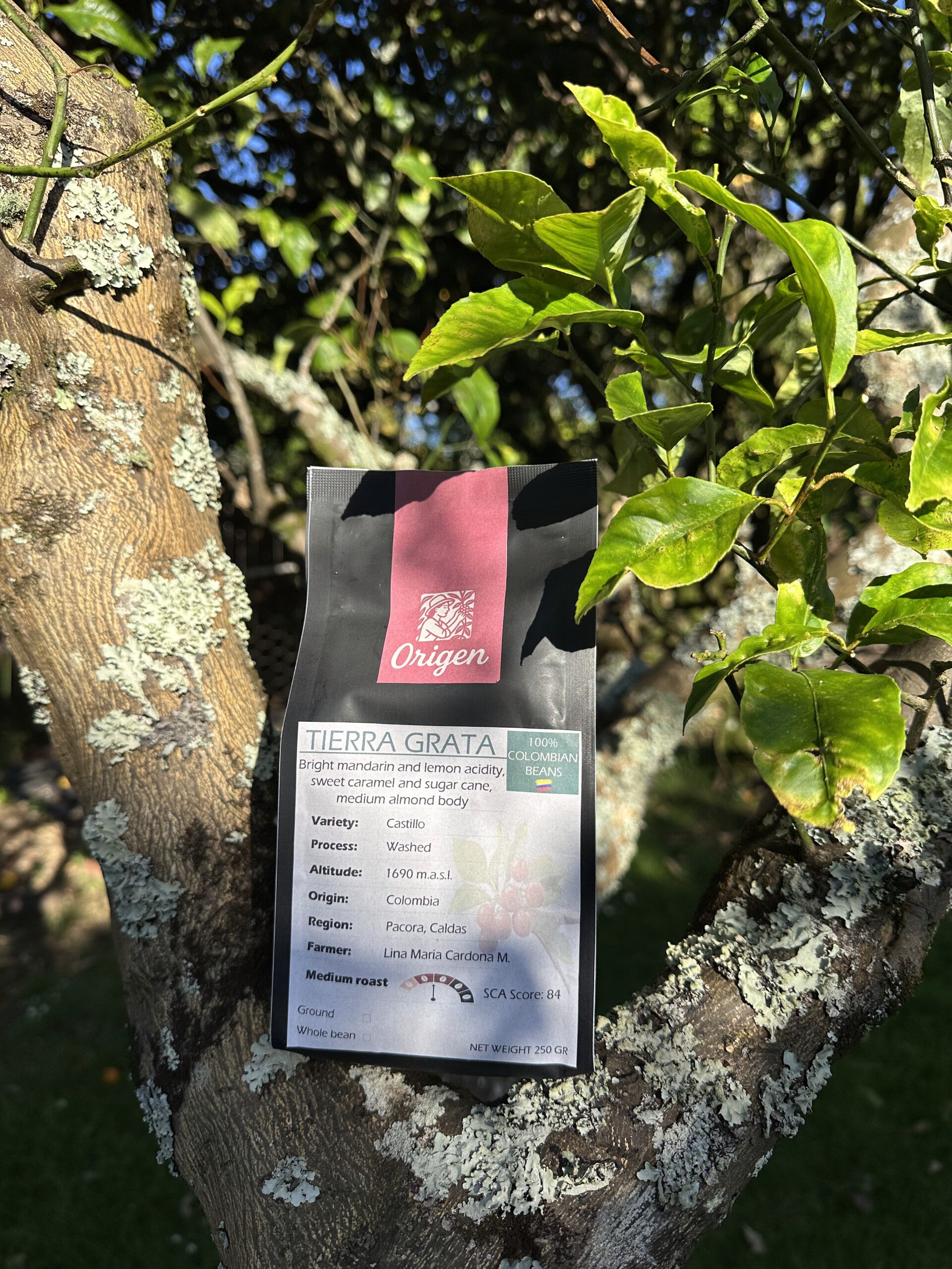 Origen Tierra Grata - Single Origin