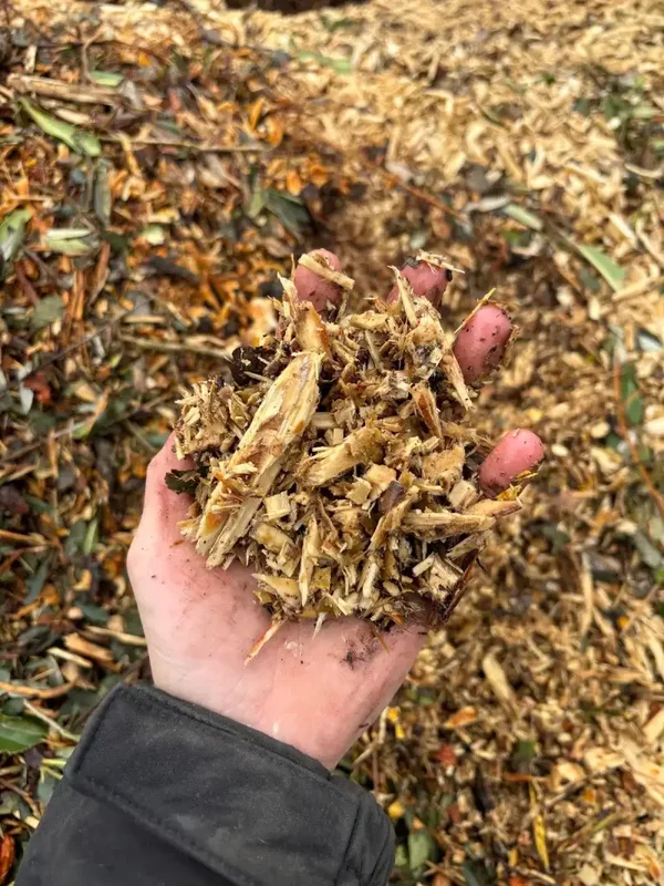 COPEAUX, BRF ( FEUILLUS )