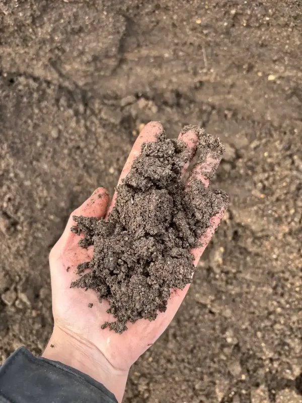 TERRE VÉGÉTALE CRIBLÉE ( 10MM )
