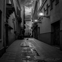 barelona-1-website-standard.jpg