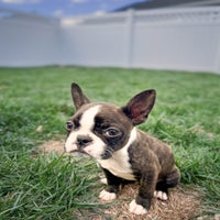maggie-redo-1-standard.jpg