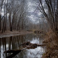 river-edit-image-standard.jpg