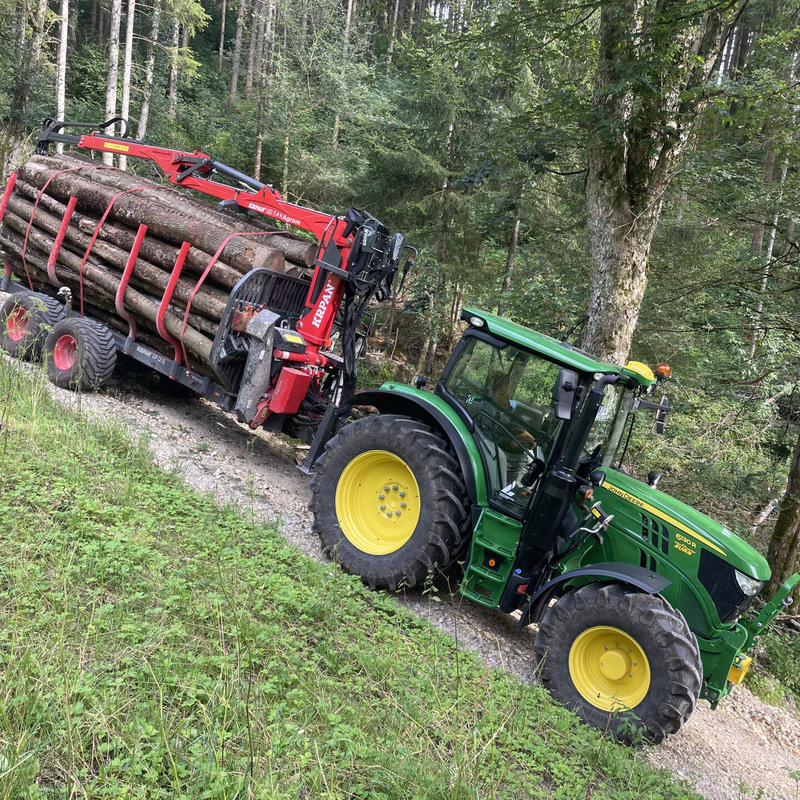 Brennholz regional Esche