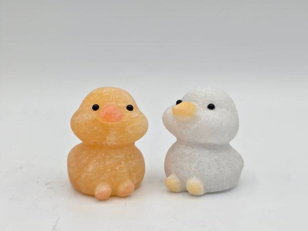 Miniature Duckling