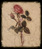 Paper &amp; Petals