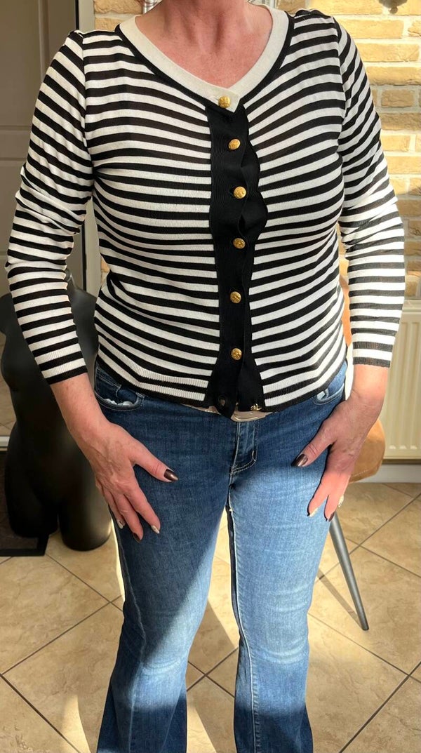 Vestje