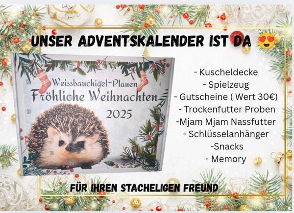 Adventskalender 2025