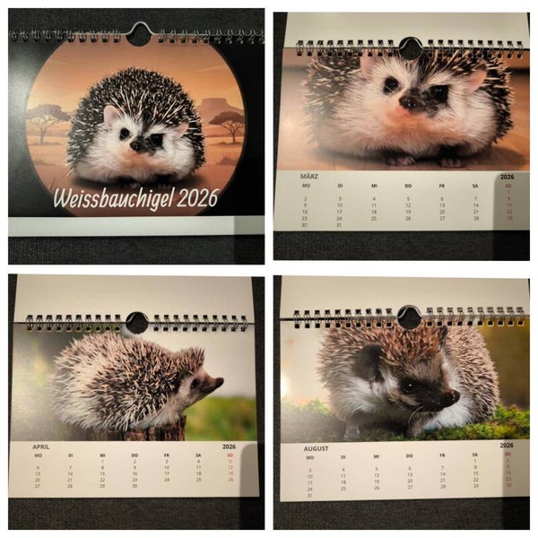 Wandkalender 2026 A5