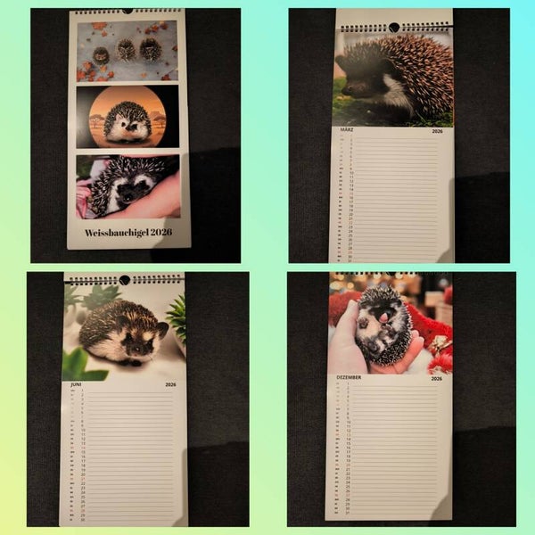 Küchenkalender Breit 2026