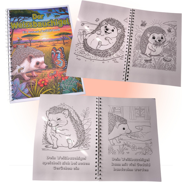 Der Weissbauchigel Ausmal-/Aufklärbuch