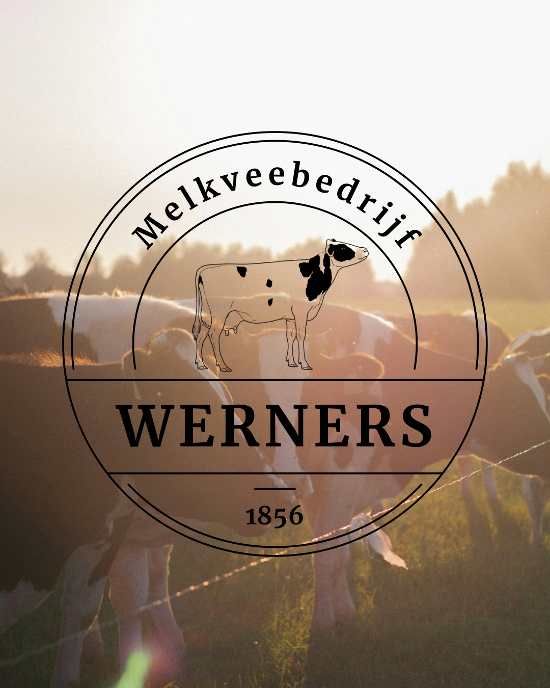Logo Melkveebedrijf Werners