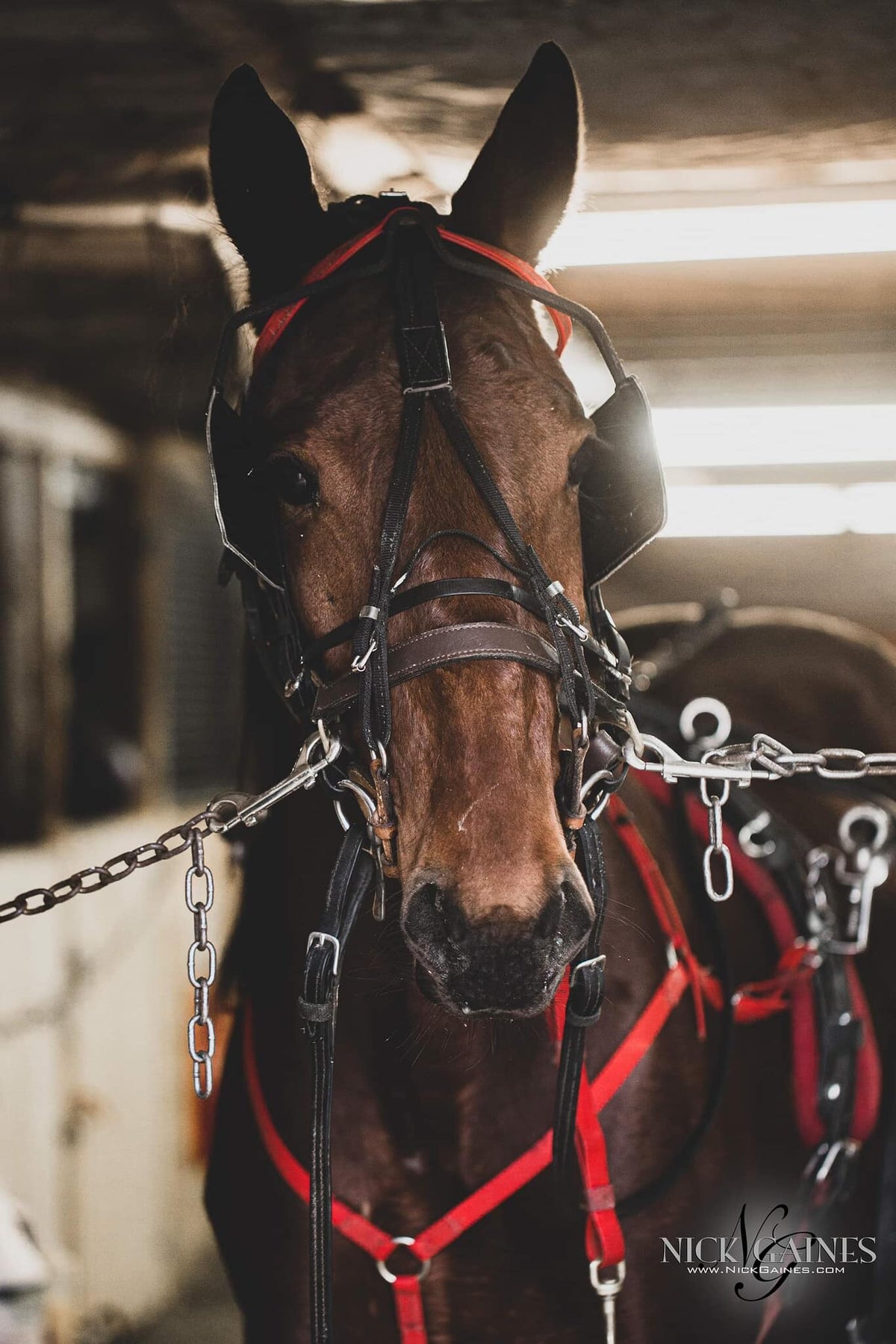 Stable | Rennison Racing