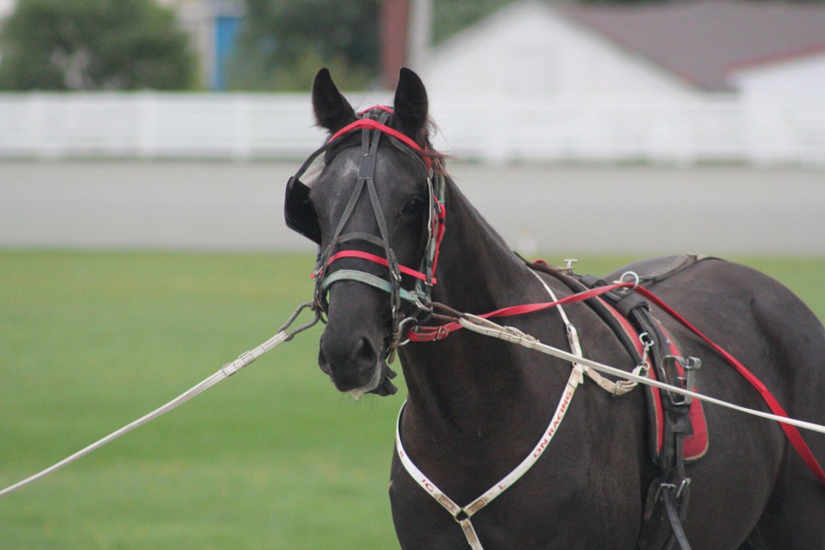 Stable | Rennison Racing