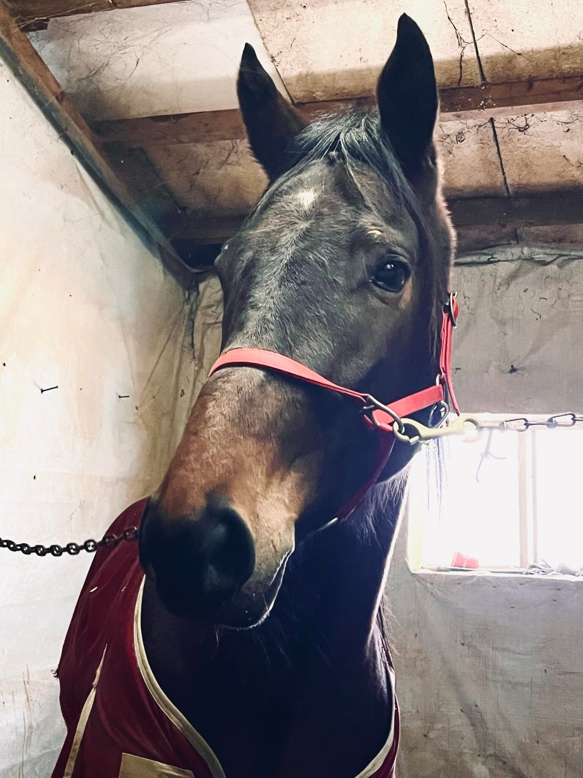 Past Athletes / Stable | Rennison Racing