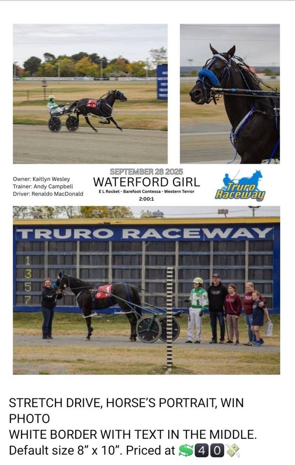 Win Photo , stretch drive and horse portrait