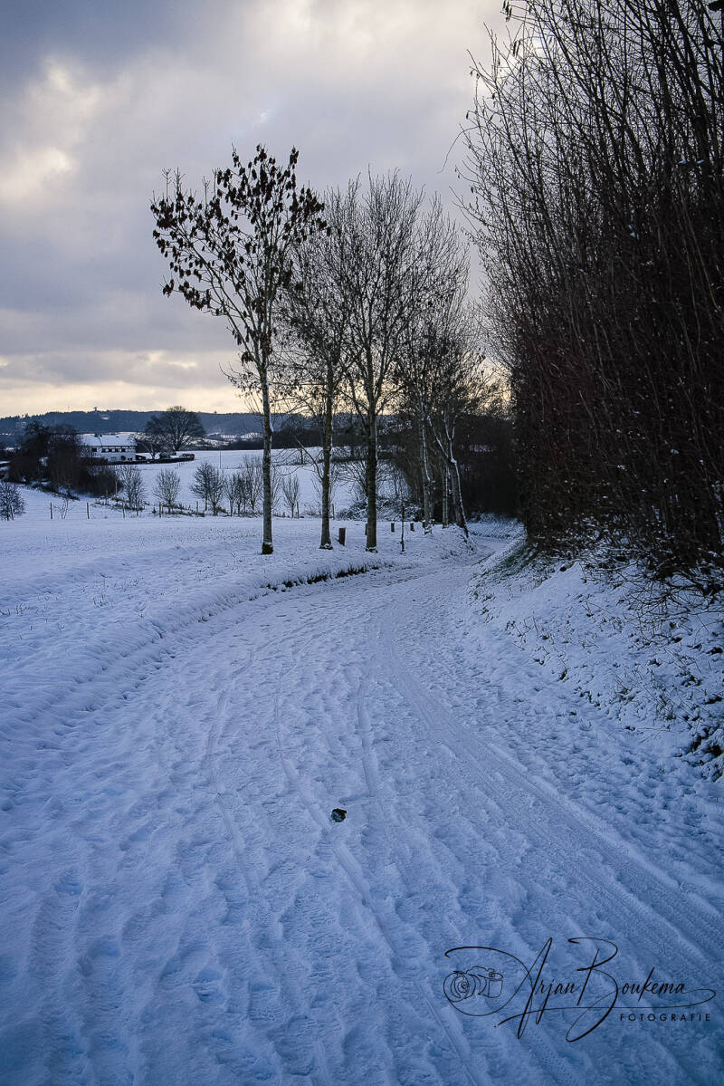harles-in-de-sneeuw-1.jpg