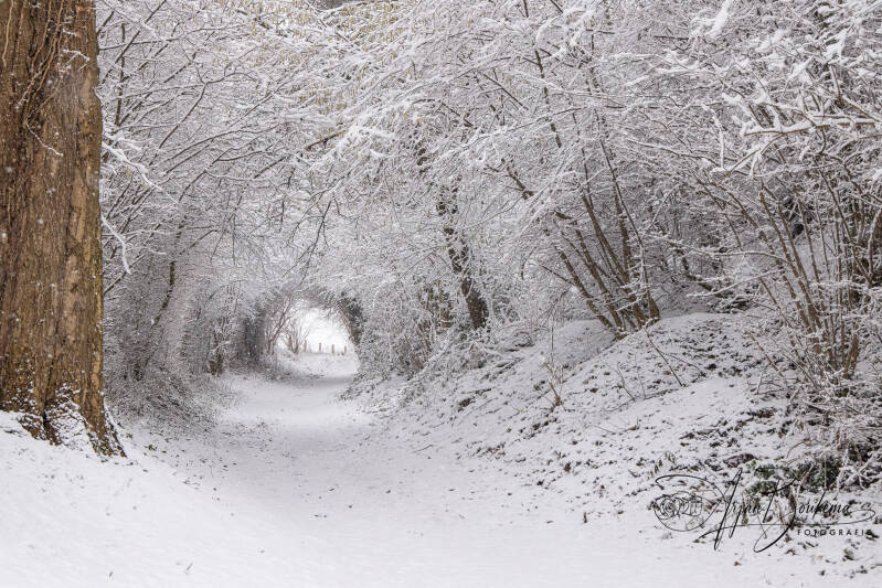harles-in-de-sneeuw-3.jpg