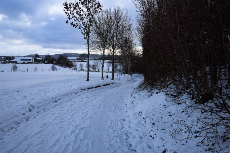 harles-in-de-sneeuw-4.jpg