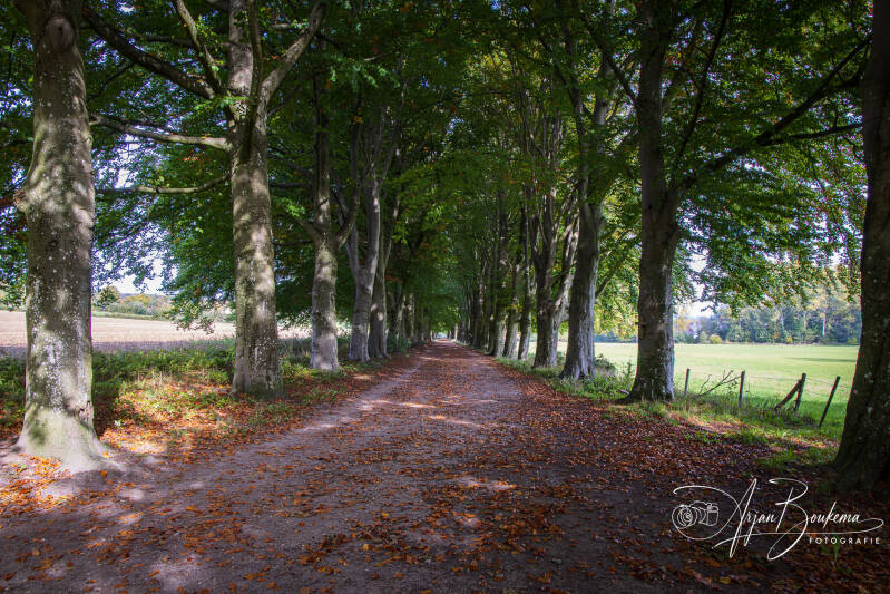 laan-van-kasteel-neubourg