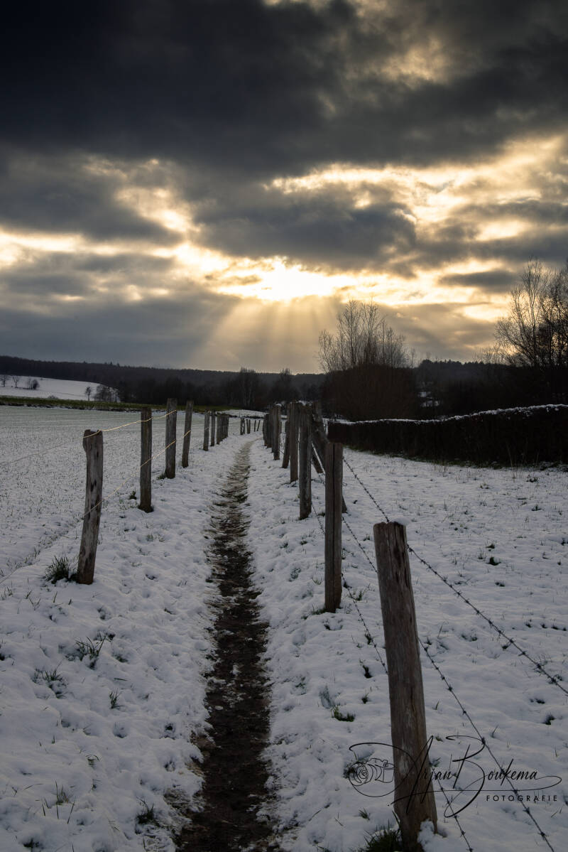 lemiers-in-de-sneeuw-1.jpg