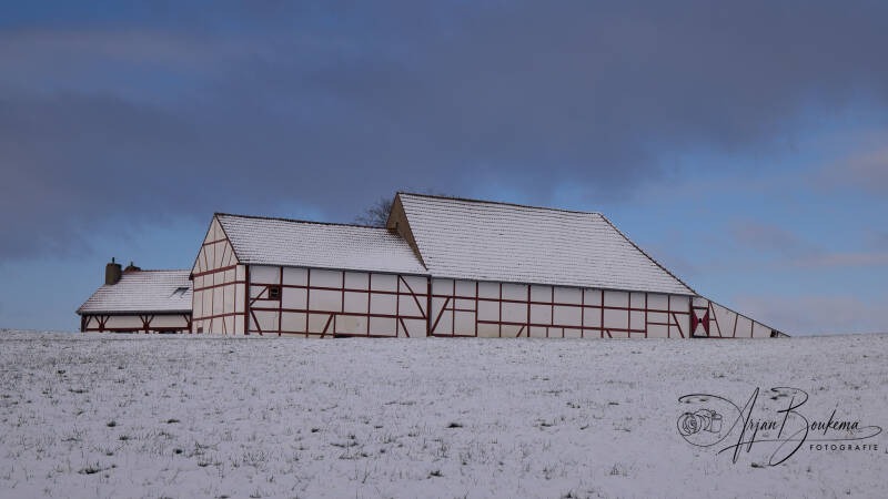 lemiers-in-de-sneeuw-3.jpg