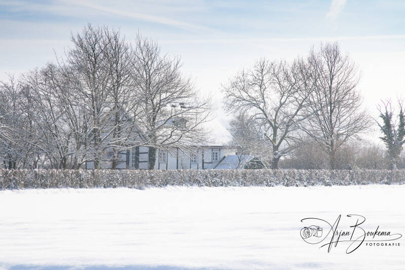 lemiers-in-de-sneeuw-.jpg