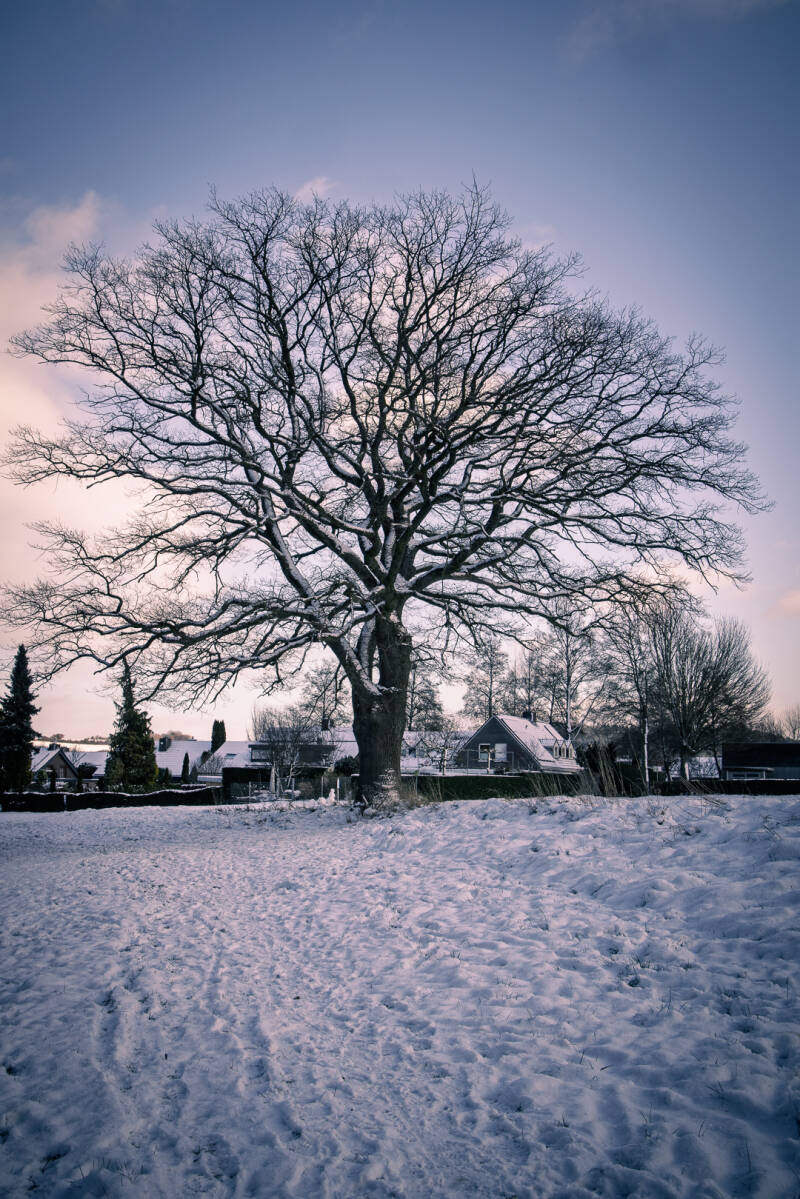 lemiers-sneeuw-4-standard-uwrq15.jpg