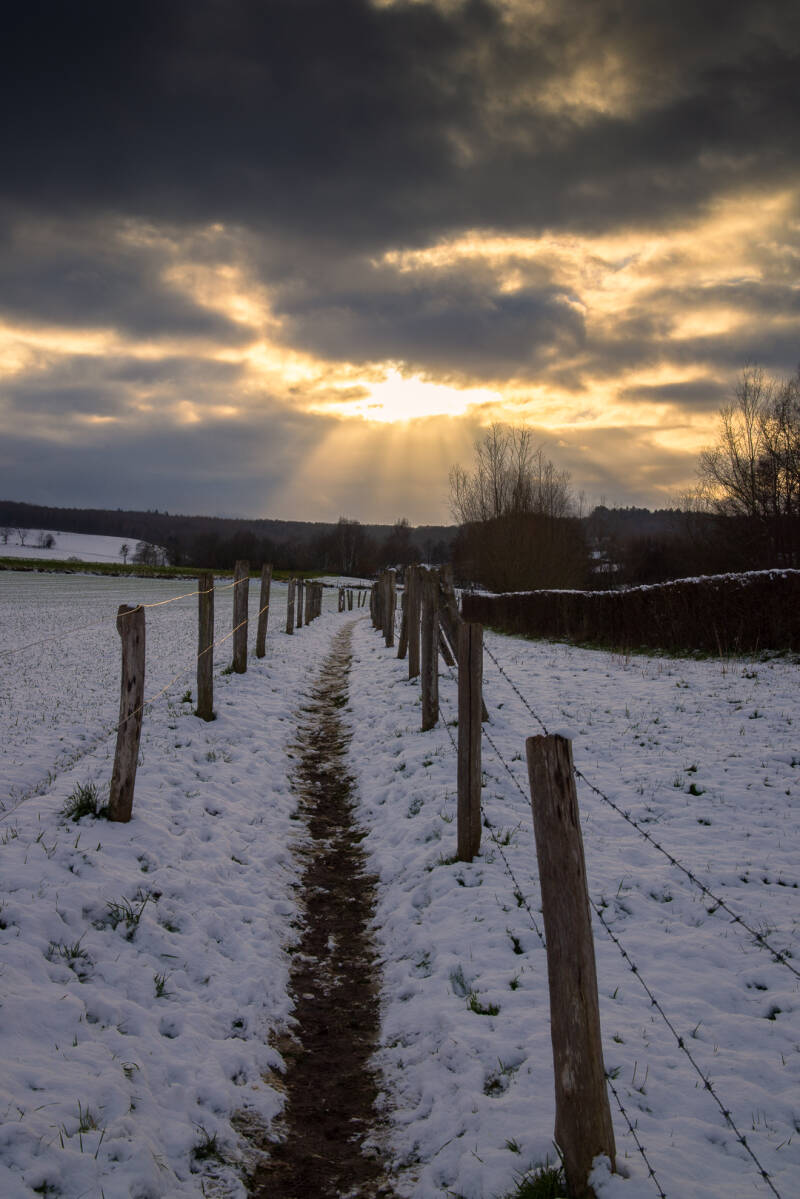 lemiers-sneeuw-5-standard-5we7hc.jpg