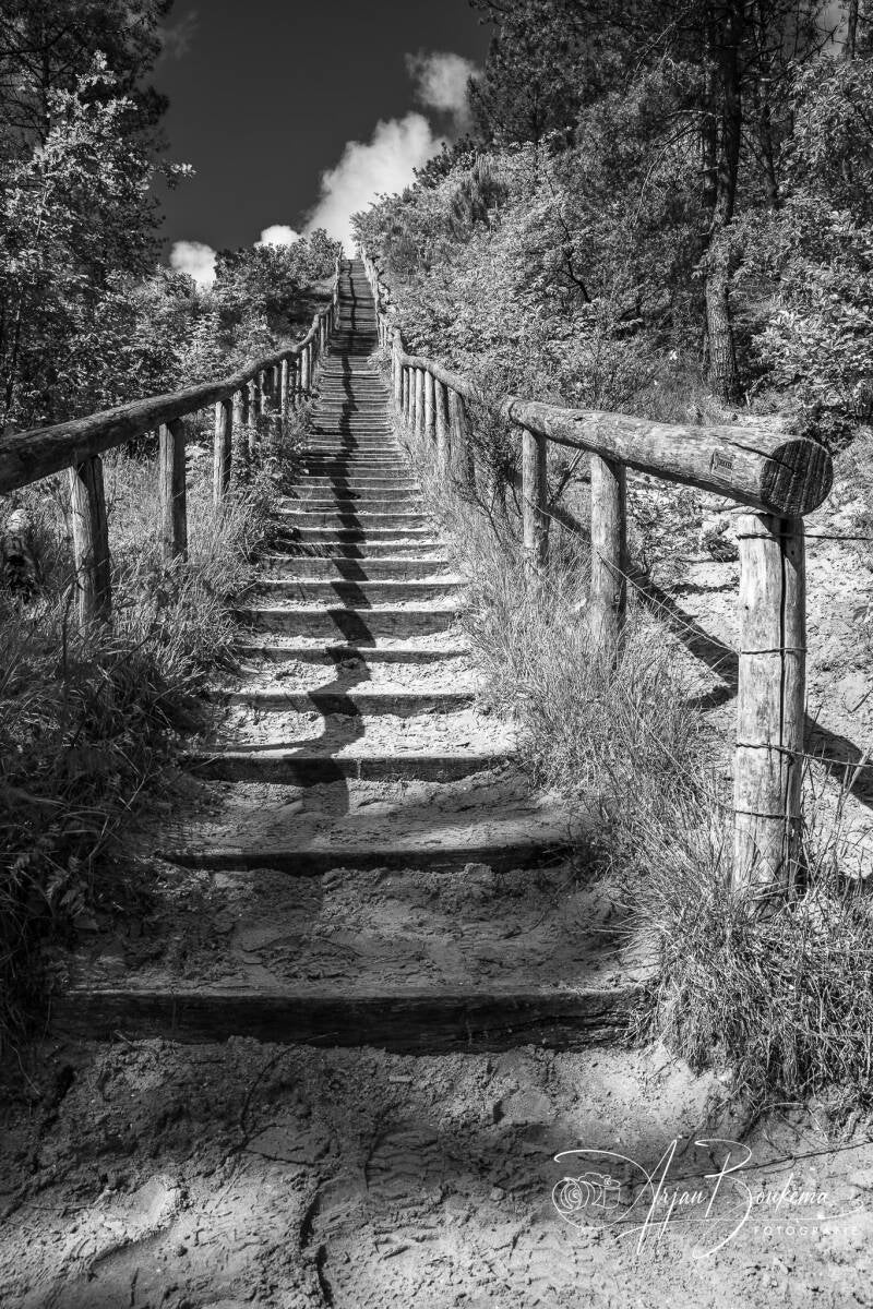 trap-schoorlse-duinen-1-standard.jpg