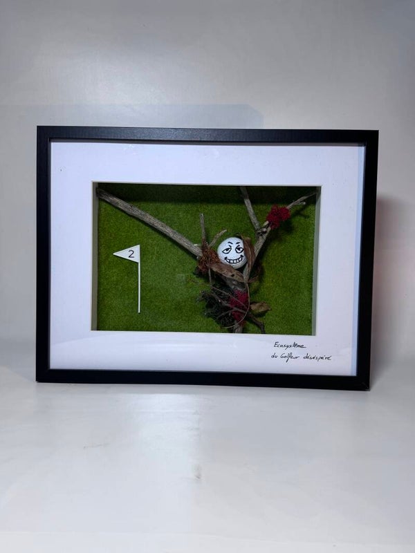Écosystème du golfeur désespéré