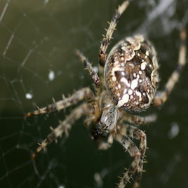20120127174931-c358d0e0-standard.jpg