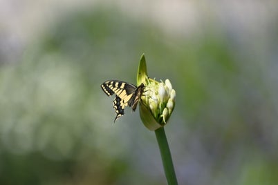 dsc_0010-standard-7x70z3.jpg