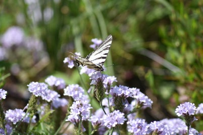 dsc_0012-standard-xyhmlz.jpg