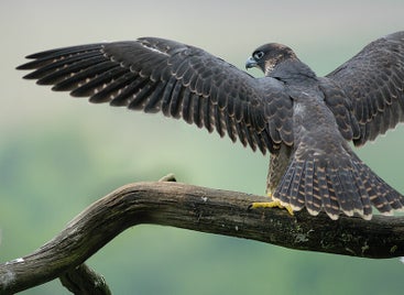 dsc_0020-standard.jpg