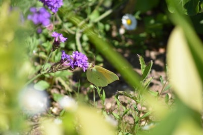 dsc_0042-standard-yz14t7.jpg
