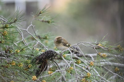 dsc_0163-standard-c0mhcw.jpg