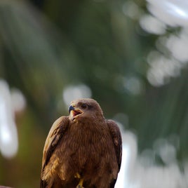 pexels-aseem-raturi-1422894-6835062-standard-es3ypm.jpg