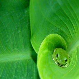 thumb-1920-88334-standard-9pgbdb.jpg