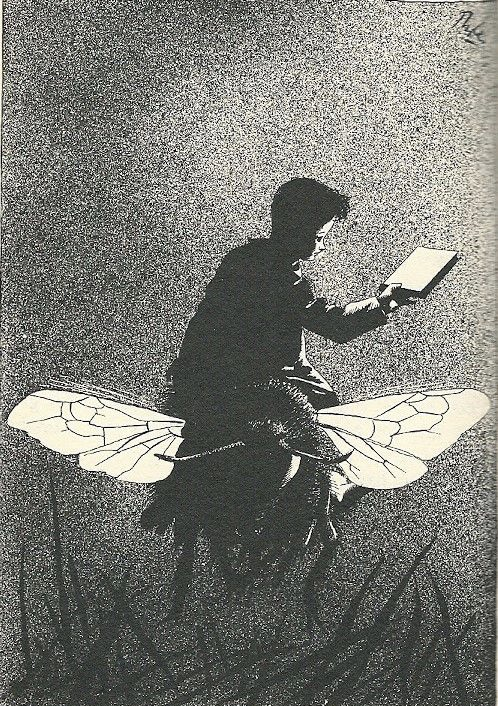 illustratie erik of het klein insectenboek