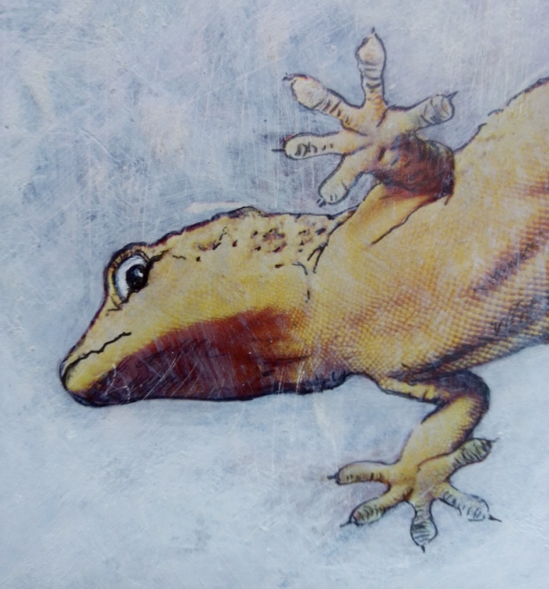 illustratie icatoo studio 