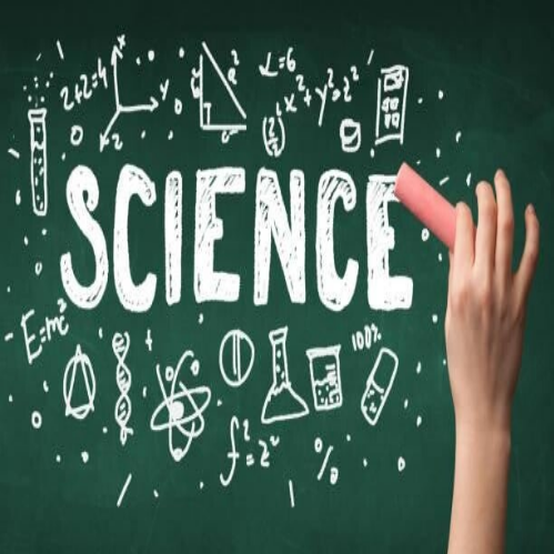 Eine kreidegezeichnete Kopfskizze auf einer Tafel mit einem Holzblock, der eine Glühbirne zeigt, darüber. Der Kopf ist seitlich dargestellt, Kontext MediumSciences - Institut.