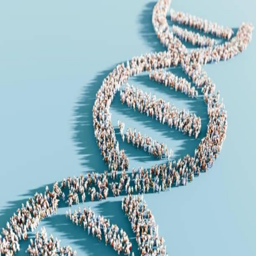 Viele Menschen bilden die Doppelhelix-Struktur einer DNA auf hellem Hintergrund, im Kontext mit MediumSciences - Institut.